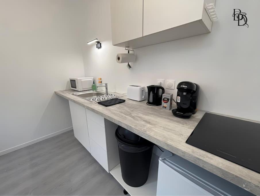 T1 Bis Appartement B3 30M2 Cosy 7Min A Pieds Des Gares Роан Экстерьер фото